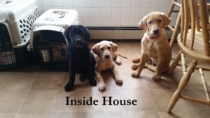 Inside House Facility