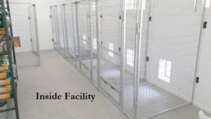Inside Labrador Facility Kennels