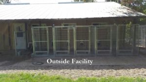 Outside Labrador Facility