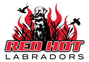 Red Hot Labradors